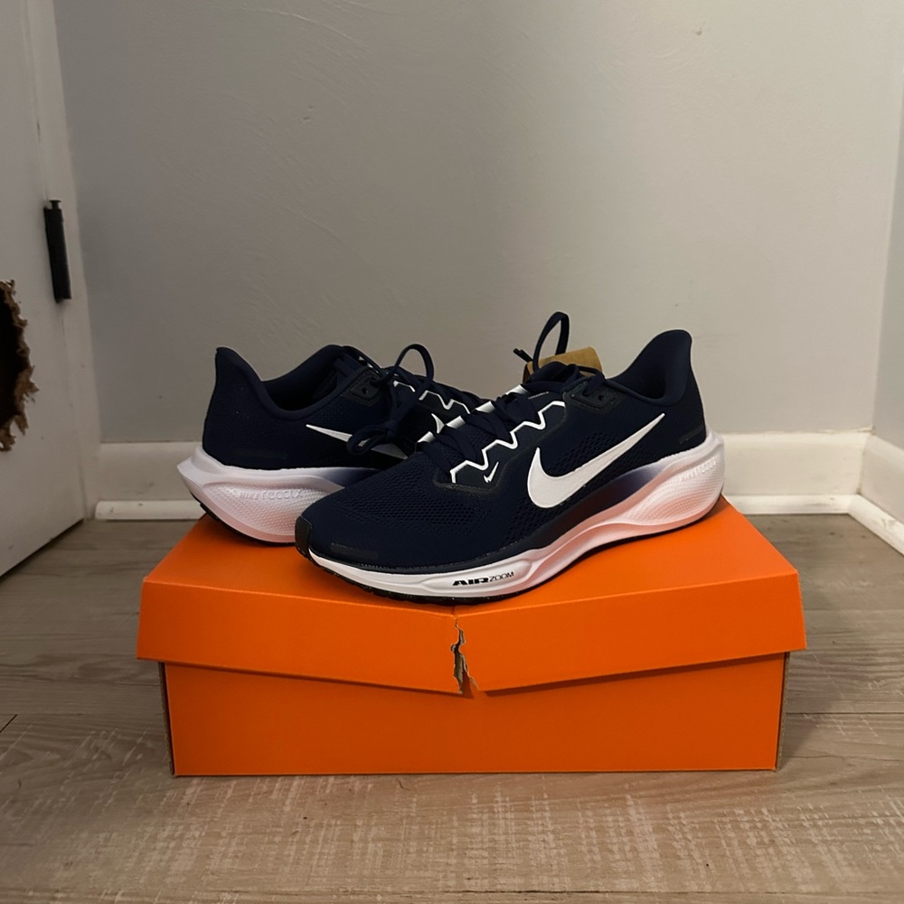 NWT Nike Pegasus